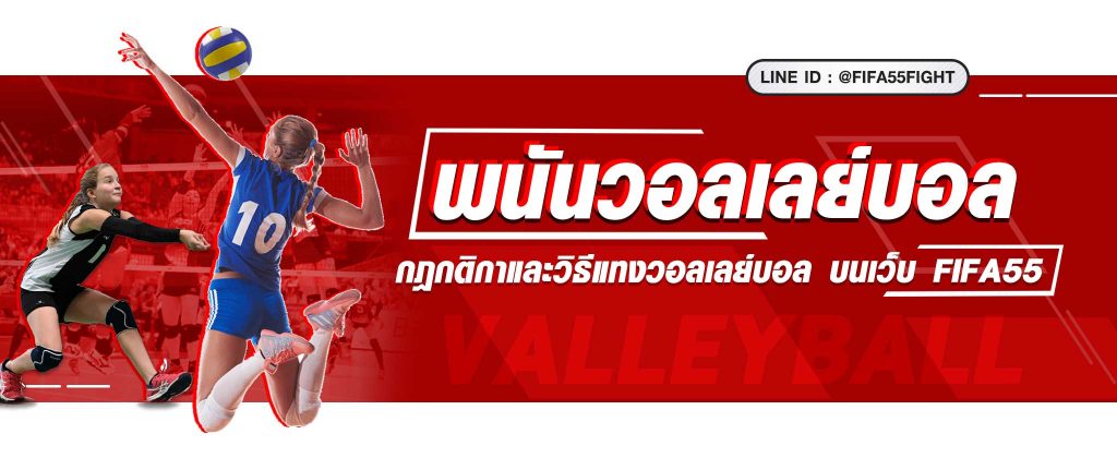 วอลเลย์บอล